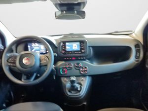 Fiat Panda Pandina 1.0 Hybrid 51kW (70cv)  - Foto 2