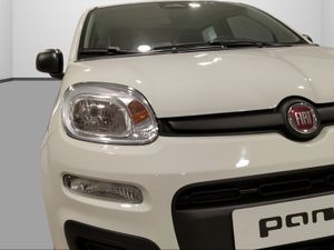 Fiat Panda Panda 1.0 Hybrid 51kW (70cv) ICON  - Foto 2