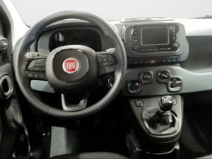 Fiat Panda Panda 1.0 Hybrid 51kW (70cv) ICON  - Foto 2