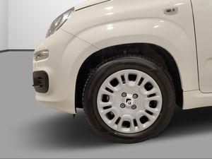 Fiat Panda Panda 1.0 Hybrid 51kW (70cv) ICON  - Foto 2