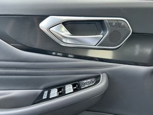 Tiger Eight 1.5T Gasolina/GLP  - Foto 14