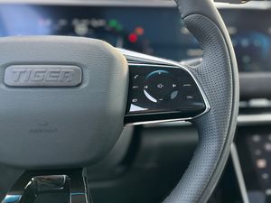 Tiger Eight 1.5T Gasolina/GLP  - Foto 19