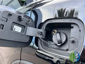 Tiger Eight 1.5T Gasolina/GLP  - Foto 34