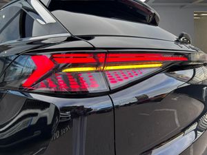 Tiger Eight 1.5T Gasolina/GLP  - Foto 30