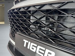 Tiger Eight  GLP  - Foto 31