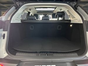 Tiger Eight  GLP  - Foto 7