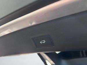 Tiger Eight  GLP  - Foto 33