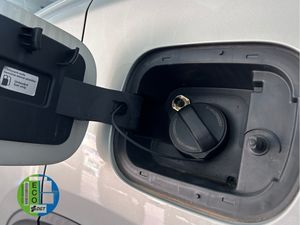 Tiger Eight  GLP  - Foto 35