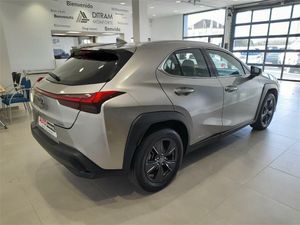 Lexus UX 2.0 250h Business  - Foto 2