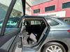 Skoda Scala 1.0 TSI 81KW (110 CV) Ambition  - Foto 2