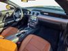 Ford Mustang CONVERTIBLE GT 5.0 TI-VCT 445 CV AT10 E6DT   - Foto 2