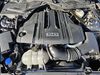 Ford Mustang CONVERTIBLE GT 5.0 TI-VCT 445 CV AT10 E6DT   - Foto 2