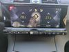 DS Automobiles DS 7 CROSSBACK BLUE HDI 180 CV EAT8 LOUVRE   - Foto 2