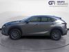 Lexus NX 2.5 300 H BUSINESS NAVIGATION  2WD   - Foto 2