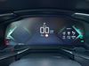 DS DS 7 Crossback E TENSE 300 4X4 PERFORMANCE LINE  - Foto 2