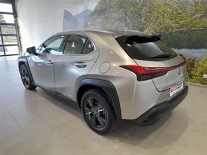 Lexus UX 2.0 250h Business  - Foto 2