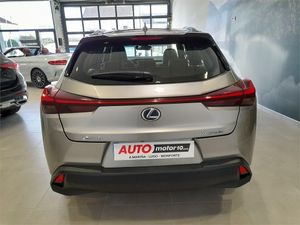 Lexus UX 2.0 250h Business  - Foto 2