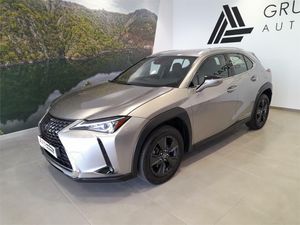 Lexus UX 2.0 250h Business  - Foto 2