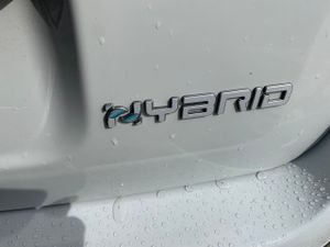 Fiat Panda City Life Hybrid 1.0 Gse 51kw 70CV   - Foto 16