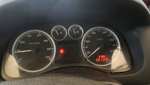Peugeot 307 1.6i XS  - Foto 15