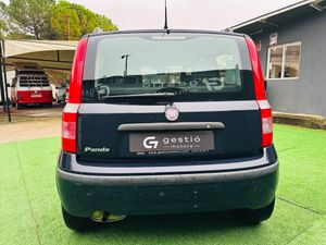 Fiat Panda Panda 1.2 8v 69 CV Active - Foto 5