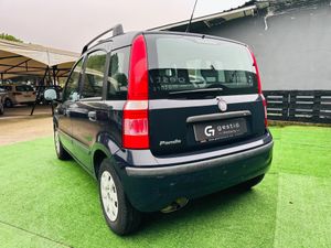 Fiat Panda Panda 1.2 8v 69 CV Active - Foto 4