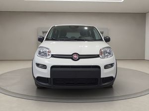 Fiat Panda Panda 1.0 Hybrid 51kW (70cv)  - Foto 4