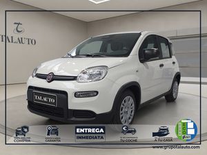 Fiat Panda Panda 1.0 Hybrid 51kW (70cv)  - Foto 2