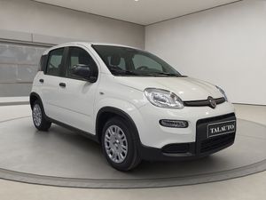 Fiat Panda Panda 1.0 Hybrid 51kW (70cv)  - Foto 5