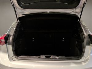 Ford Focus 1.0 Ecoboost MHEV 114kW ST-Line  - Foto 8
