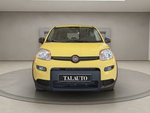 Fiat Panda Panda 1.0 Hybrid 51kW (70cv)  - Foto 4