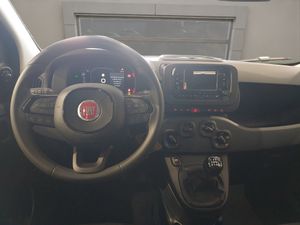 Fiat Panda Panda 1.0 Hybrid 51kW (70cv)  - Foto 9