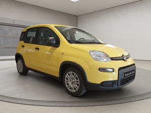 Fiat Panda Panda 1.0 Hybrid 51kW (70cv)  - Foto 5
