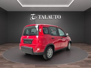 Fiat Panda Panda 1.0 Hybrid 51kW (70cv)  - Foto 6