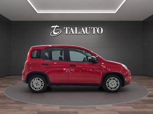 Fiat Panda Panda 1.0 Hybrid 51kW (70cv)  - Foto 7