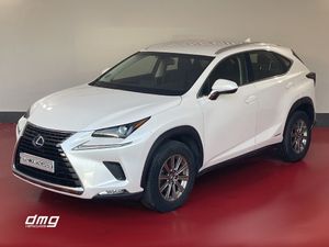 Lexus NX 2.5 300h Business Navigation 2WD 5p.   - Foto 3