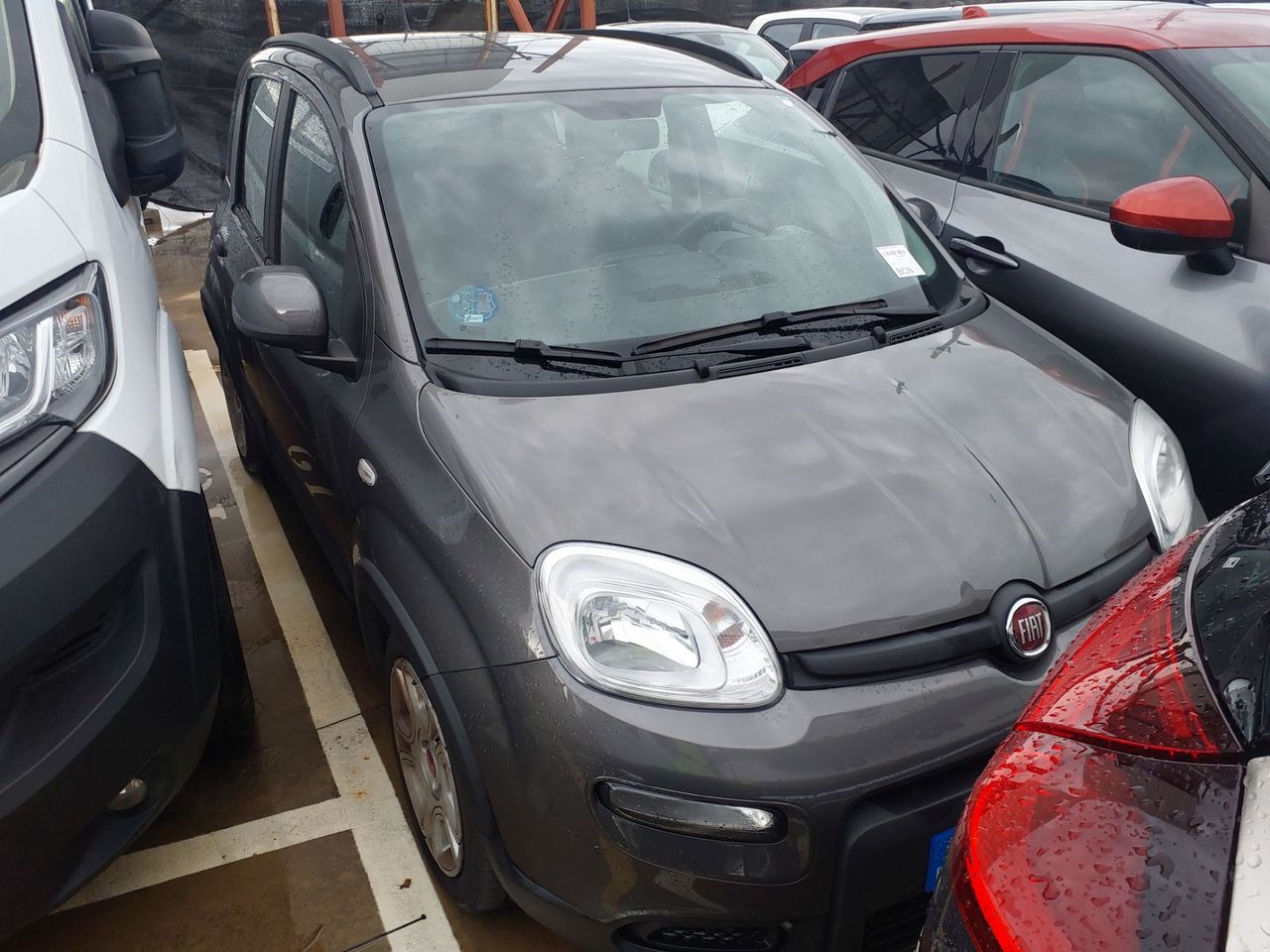 Fiat Panda City Life Hybrid 1.0 Gse 51kw (70CV) - Foto 1