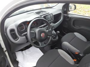 Fiat Panda City Life Hybrid 1.0 Gse 51kw (70CV) - Foto 6