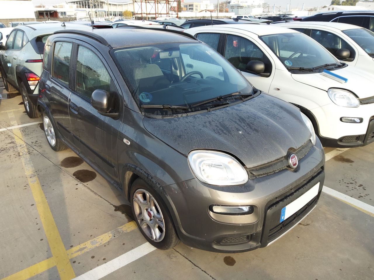Fiat Panda City Hybrid 1.0 70CV - Foto 1
