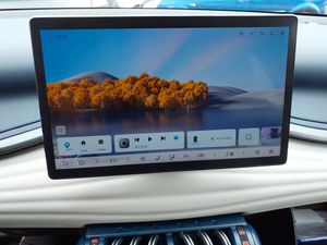 BYD Atto 3 Comfort - Foto 11