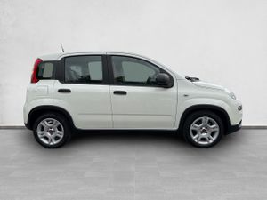 Fiat Panda City Life Hybrid 1.0 Gse 51kw (70CV) - Foto 6