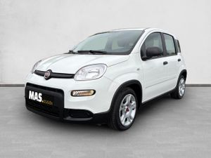 Fiat Panda City Life Hybrid 1.0 Gse 51kw (70CV) - Foto 2