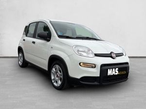 Fiat Panda City Life Hybrid 1.0 Gse 51kw (70CV) - Foto 3