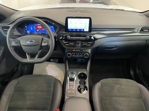Ford Kuga Hybrid ST-Line X  - Foto 13