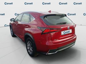 Lexus Nx 2.5 300h Business Navigation 2wd - Foto 3