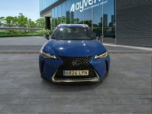 Lexus Ux 2.0 250h Premium - Foto 3