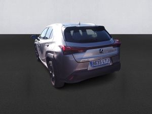 Lexus Ux 2.0 250h Business - Foto 7