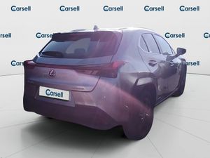 Lexus Ux 2.0 250h Business - Foto 5