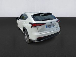 Lexus Nx 2.5 300h Business Navigation 2wd - Foto 7