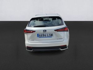 Lexus Nx 2.5 300h Business Navigation 2wd - Foto 6